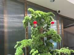 -顺德佬华侨城店·商务宴请·团建