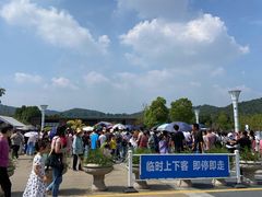 -上方山森林动物世界