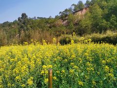 -神光山国家森林公园