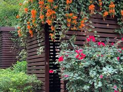 -厦门日月谷温泉渡假村