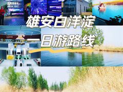 -白洋淀景区