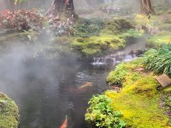 -Chom Cafe and Restaurant