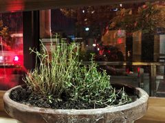 -沙青(江场二路店)