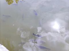 -宗角禄康公园