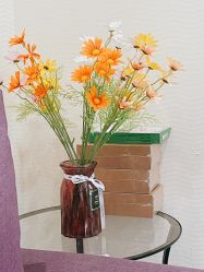 -SILKTONE诗丽堂美容