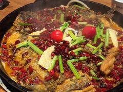 -老板恋上鱼(恒隆广场店)