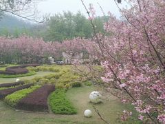 -福建鲤鱼洲酒店