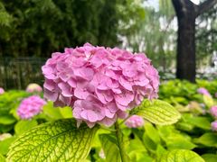 -陶然亭公园