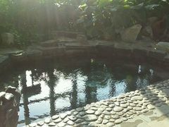 -中家鑫园温泉酒店鑫悦汤泉