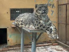 -青藏高原野生动物园