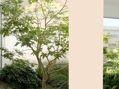 -星皖工长俱乐部·老房装修