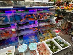-曲阳花鸟市场(曲阳路店)