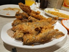 -老北京馅饼粥(西单店)