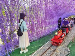 -长洲岛都市农业公园