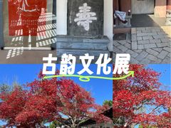 -苏州文庙(姑苏区)
