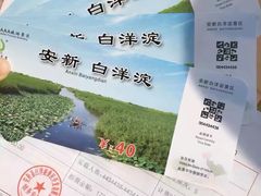 -白洋淀景区