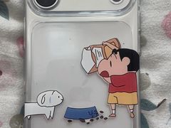 -Apple零售店(青岛万象城店)