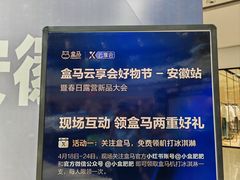 -万达广场(合肥天鹅湖店)
