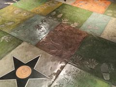 -星辰9号幻影会
