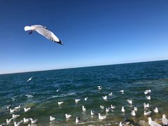 -青海湖国家重点风景名胜区