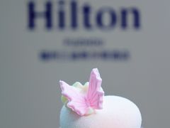 -三迪希尔顿酒店·星空酒廊