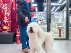 -全心全意动物诊疗中心医院(北苑店)