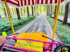 -黄海国家森林公园