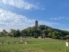 -红花山公园