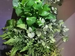 -东方菩提养生SPA馆(武昌总店)