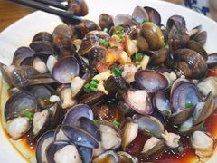 -老马家·舌尖上的西塘美食
