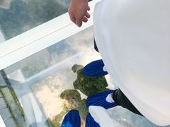 -呀诺达热带雨林