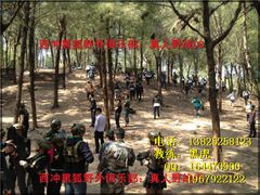 -西涌国际滨海旅游区