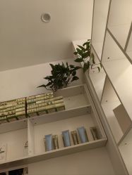 -妍理·植物养发