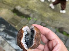 -栾川竹海野生动物园