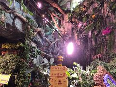 -正佳雨林生态植物园