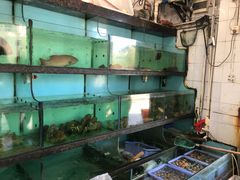 水产区-茂盛饭店(汕尾大道中店)