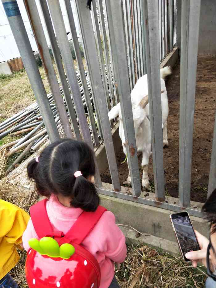 奉贤吃住农家乐二日游图片