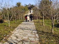 -广富林郊野公园