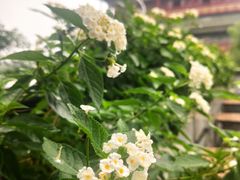 -苦尽酒馆·川菜(鼓楼店)