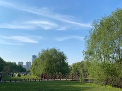 -长白岛森林公园