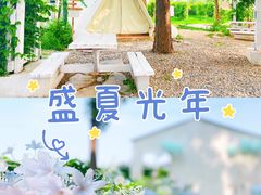 -安德鲁户外烧烤帐篷营地(马泉营店)