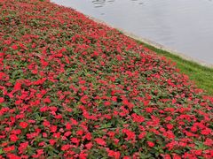 -荔湾湖公园