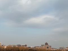 -莲花池公园