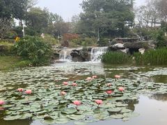 -东莞植物园