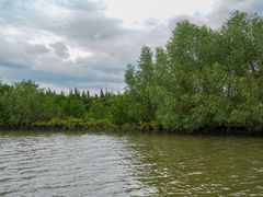 -东寨港红树林旅游区