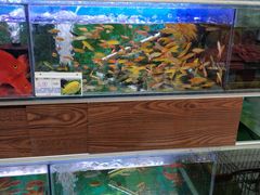-大润发(张江店)