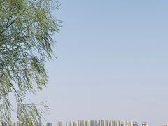 -丁香湖公园