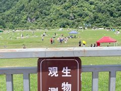 -狮子沟牧场