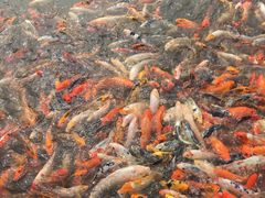 -北戴河圣蓝海洋公园