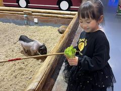 -顺德南宏海立方海洋公园